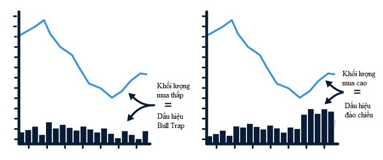 bull-trap